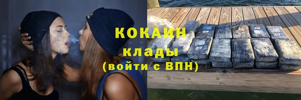 ALPHA-PVP Гусев