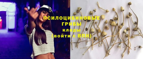 не бодяженный Гусь-Хрустальный