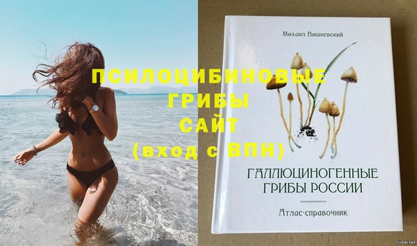 не бодяженный Гусь-Хрустальный