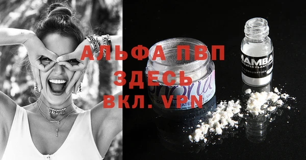 spice Гусиноозёрск
