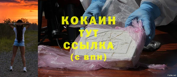 spice Гусиноозёрск