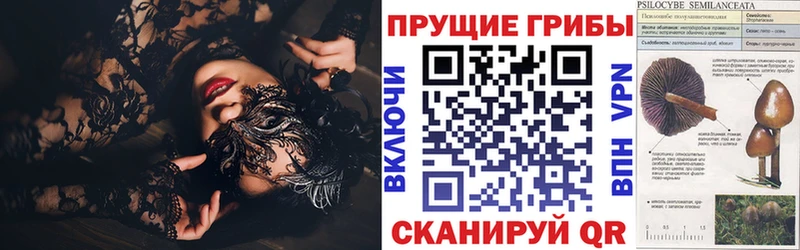 Галлюциногенные грибы GOLDEN TEACHER  Купить закладки  Касимов 